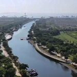 PIK 2 Jaga Kelestarian Lingkungan, Habitat Burung dan Hutan Mangrove